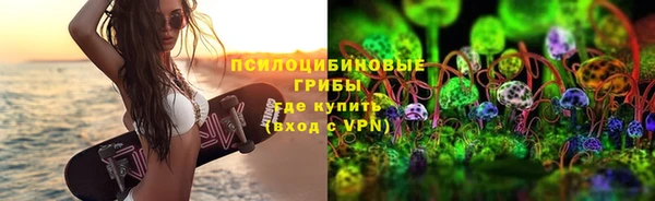 молекула духа Аркадак
