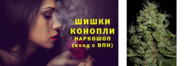 молекула духа Аркадак