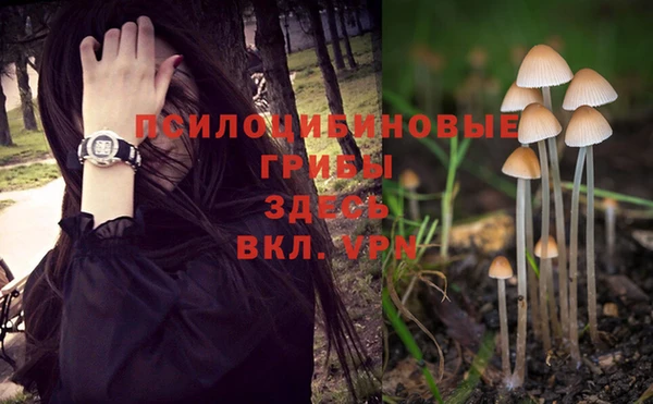 таблы Арсеньев