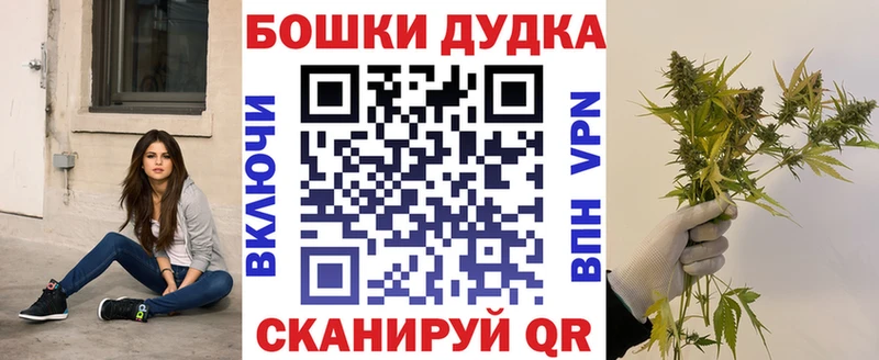 Марихуана семена  где найти наркотики  Семикаракорск 